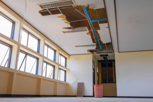 Best Mold removal after water damage  in Garfield Heights, OH