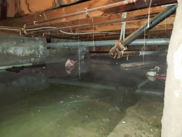  Garfield Heights, OH Water damage restoration Pros