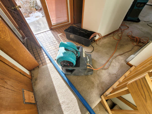 Best Sewage cleanup and water damage restoration  in Garfield Heights, OH