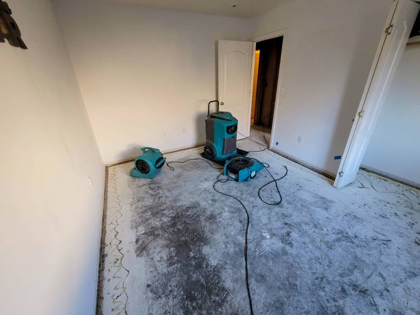 Best Flood restoration services  in Garfield Heights, OH