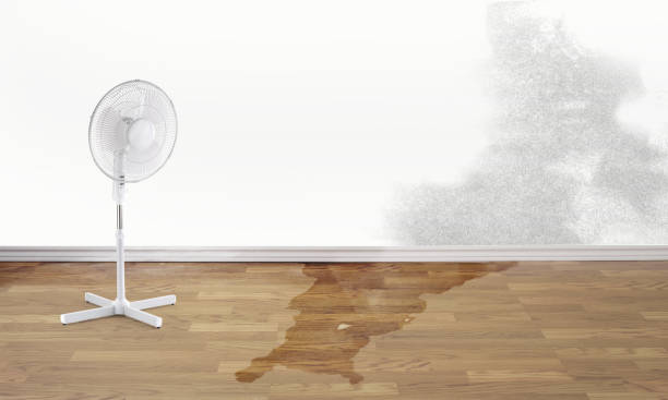 Best 24-hour water damage restoration  in Garfield Heights, OH