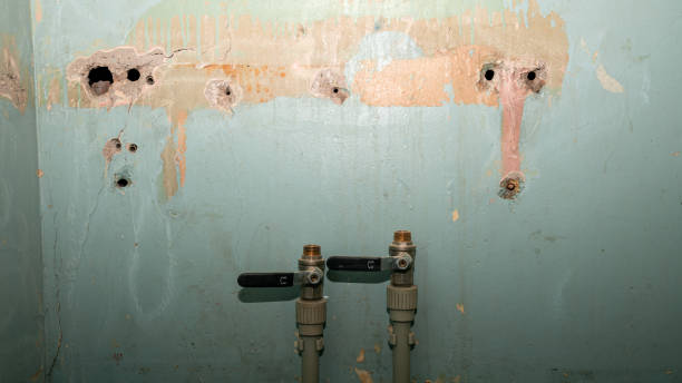 Best Emergency water damage restoration  in Garfield Heights, OH