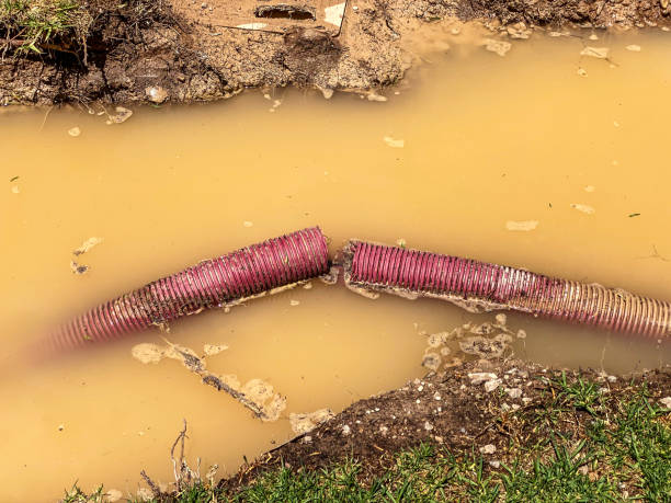 Best Flood damage cleanup  in Garfield Heights, OH