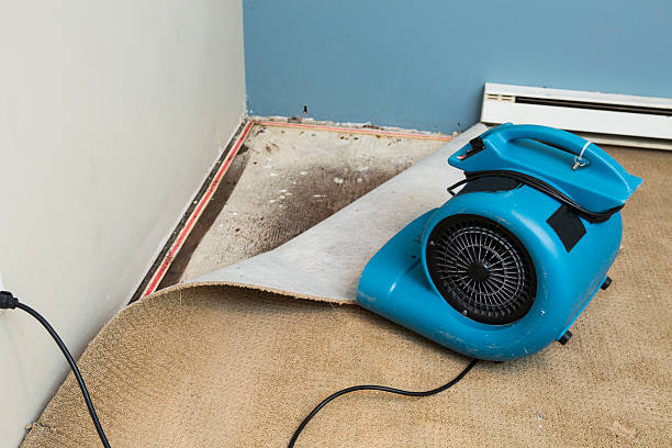 Best Water damage restoration near me  in Garfield Heights, OH